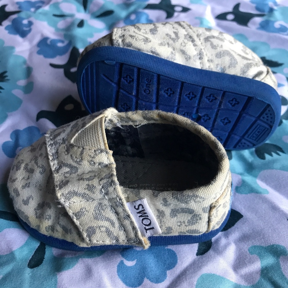 Toms Baby Shoes in Blue and Cream